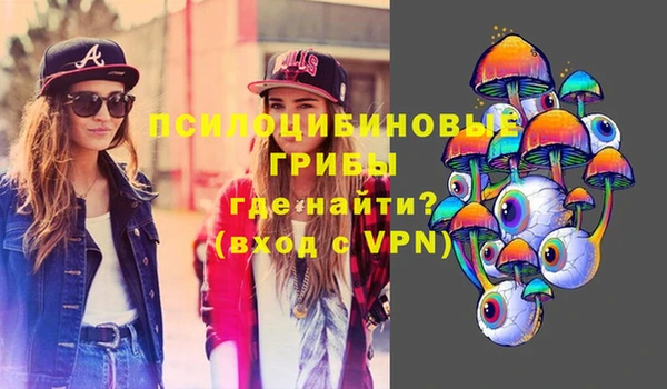 круглые Аркадак