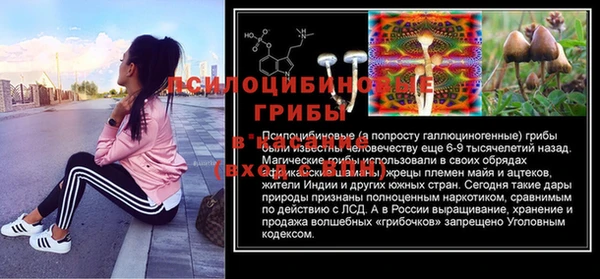 круглые Аркадак